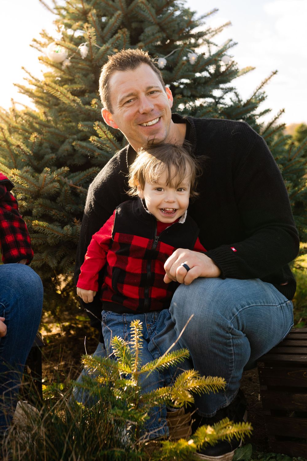 Playful family portrait session among evergreen trees at sunset showing joyful interaction and laughter.