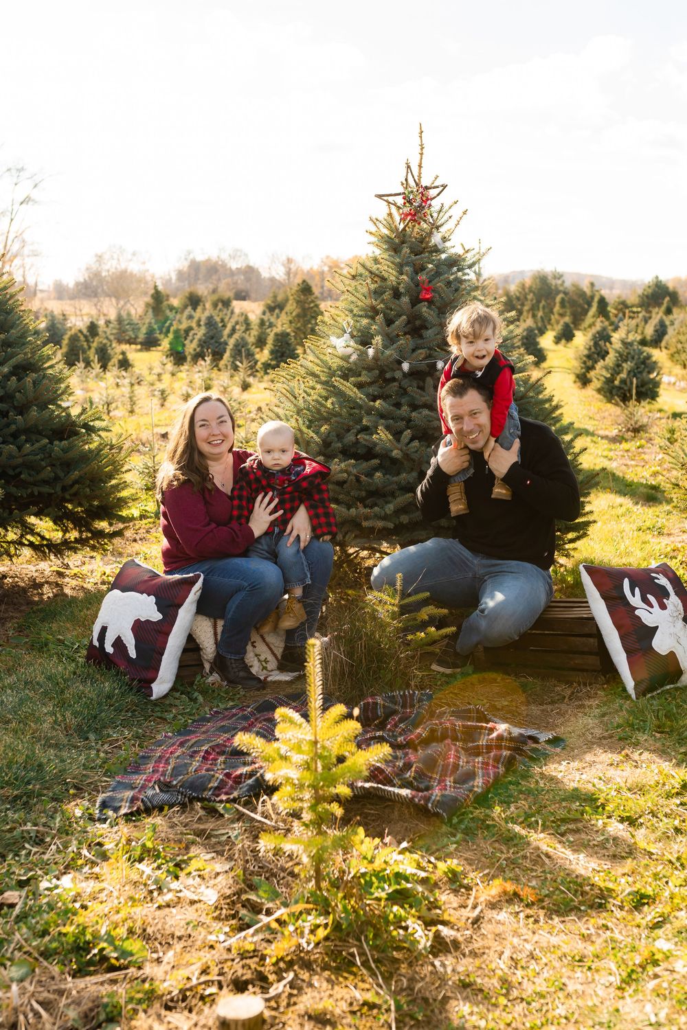 Couple poses playfully on autumn ground at Christmas tree farm during outdoor photoshoot session.