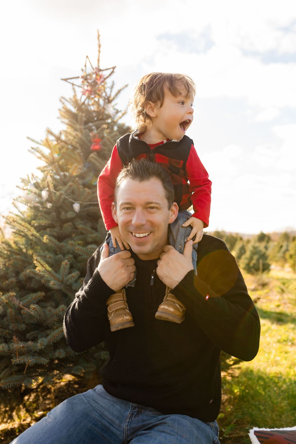 Father and child sharing playful piggyback ride moment among evergreen trees in golden sunlight.
