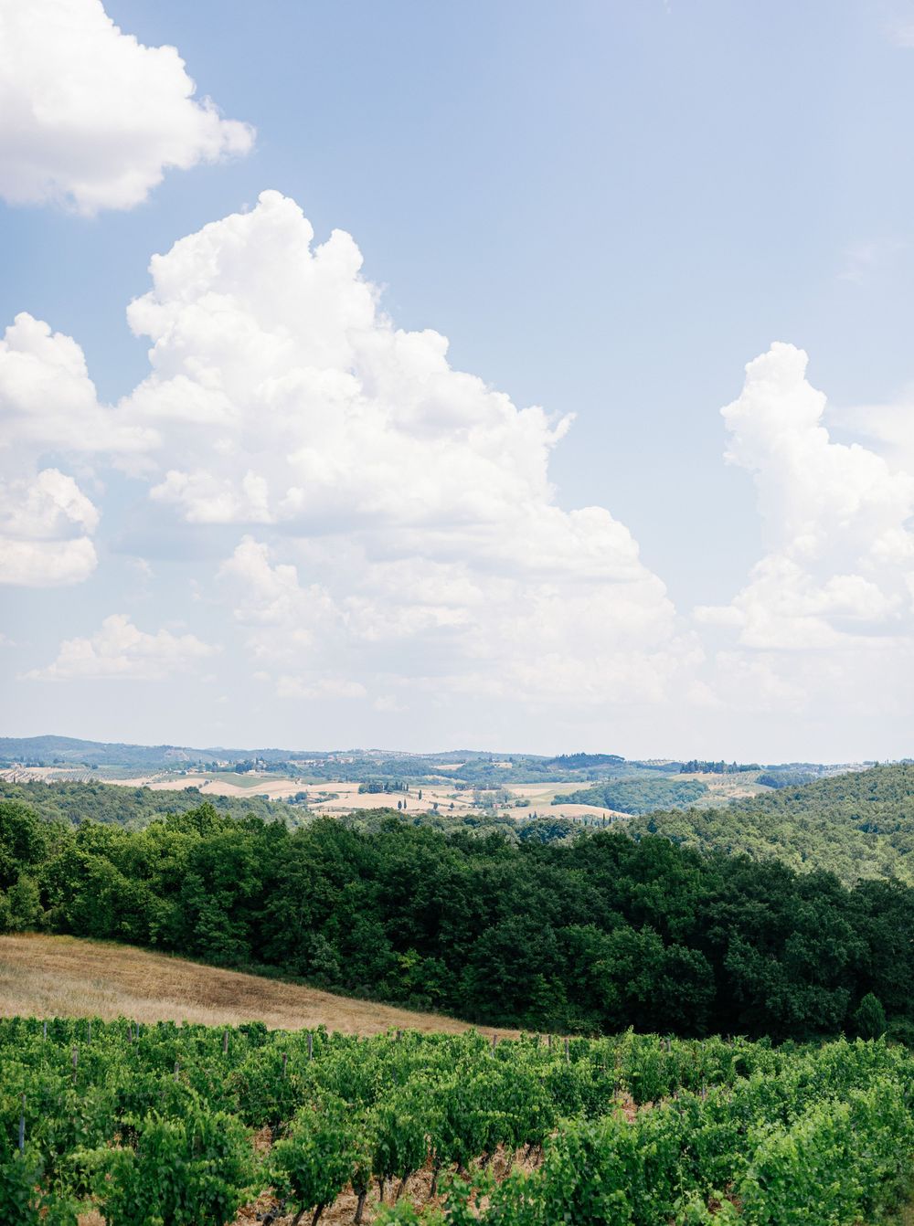 Rolling green hills and woodlands stretch across a scenic rural landscape under puffy white clouds and blue sky.