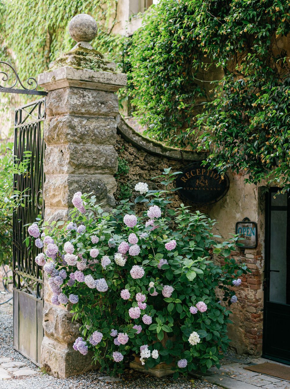 Purple hydrangea flowers bloom against an old stone wall entrance with green vines and dark wooden doors.