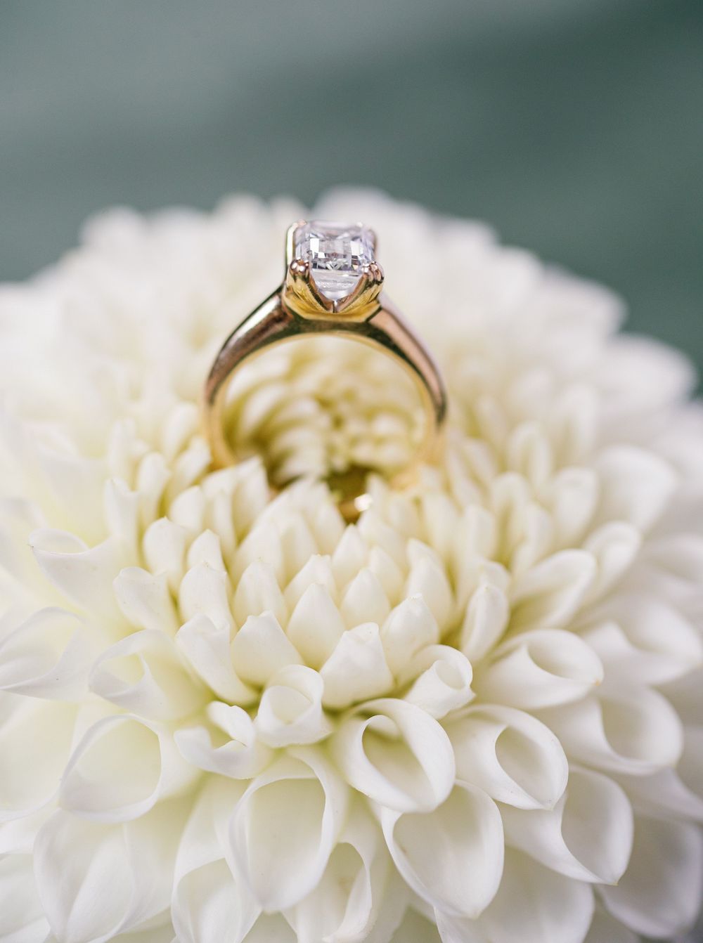 A diamond solitaire engagement ring rests atop a delicate white dahlia flower with layered petals.