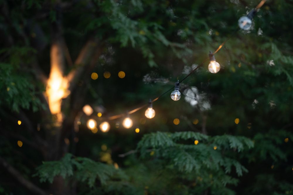 String lights illuminate an outdoor garden space with glowing orbs hanging among dark green foliage at night.