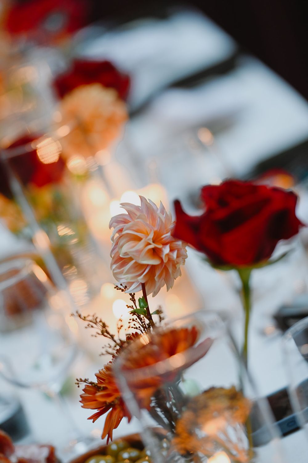 Red and white flowers bloom against a soft bokeh background with warm glowing lights creating a dreamy atmosphere.