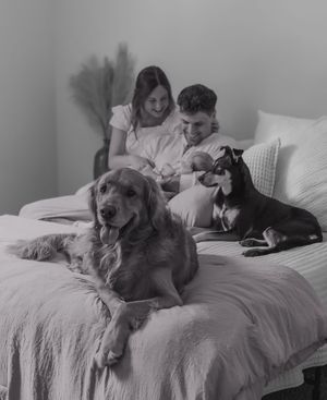 Black and white family photo of couple with newborn baby and two dogs on a bed.
