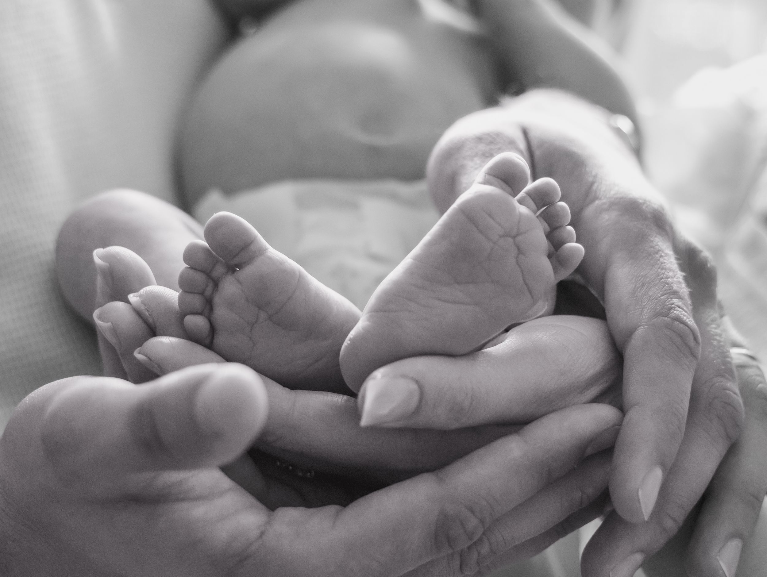 Black and white photo of newborn twin babies feet cradled gently in parents hands.