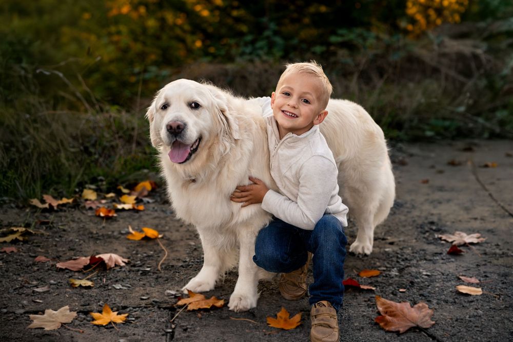 A smiling young boy hugs a large white Golden Retriever dog outdoors among colorful autumn fallen leaves.