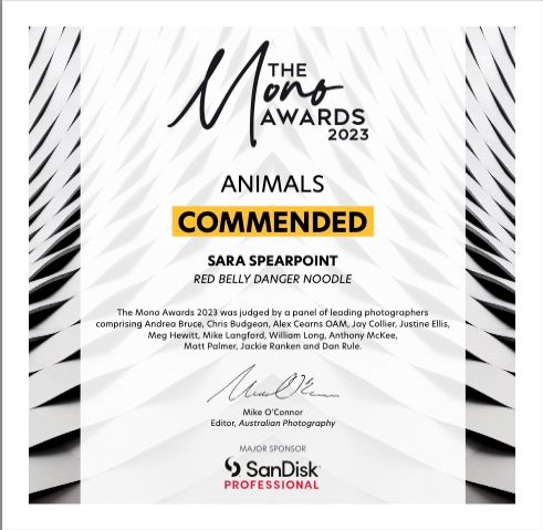 Photography award certificate showing 'Commended' status in the Animals category for 2023.
