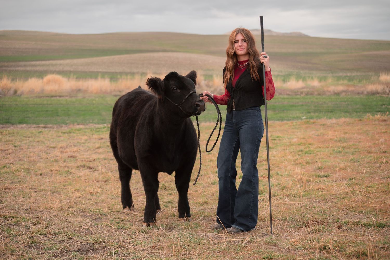girl with show steer in livestock photos in Logan Utah