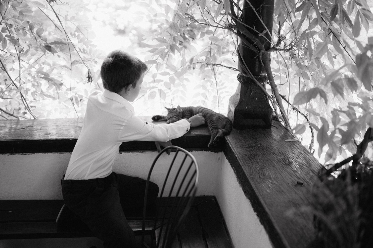 A series of high contrast black and white images showing a person playing a violin in various poses against nature backgrounds.