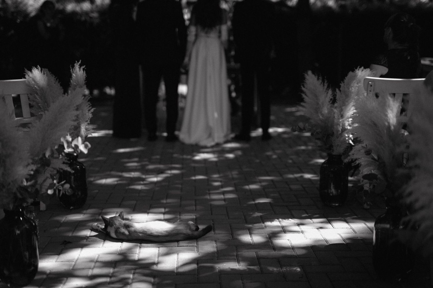 A ghostly white dress hangs suspended in a shadowy garden setting with dappled light through trees.