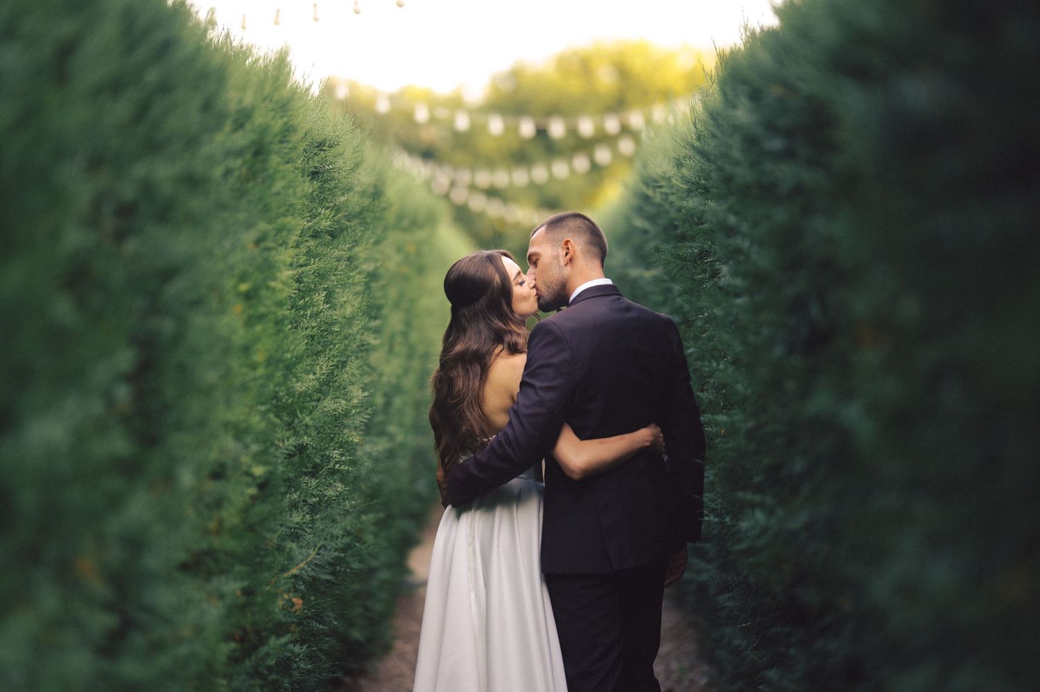 Romantic garden pathway lined with evergreen trees and string lights at sunset.