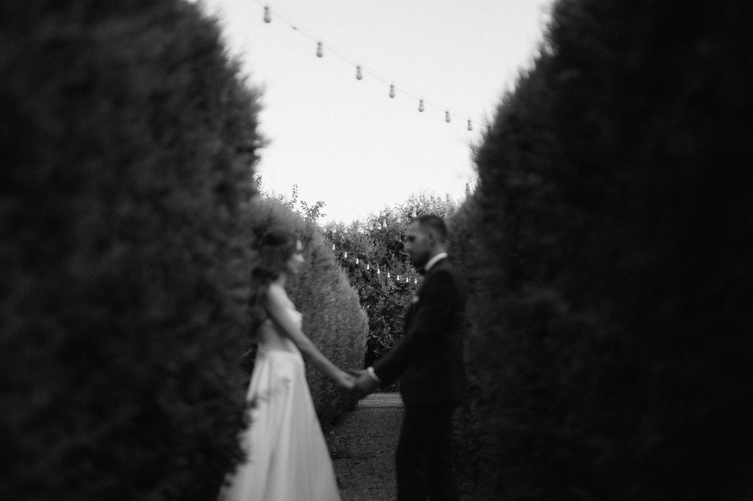 Wedding couple walking along a tree-lined path in black and white.