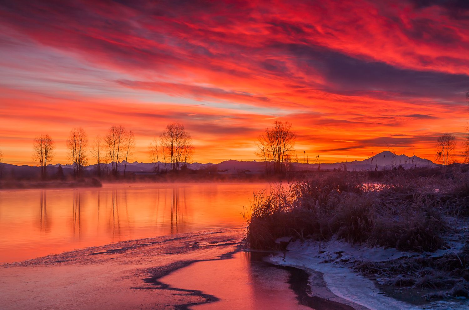 Alouette River Pitt Meadows British Columbia