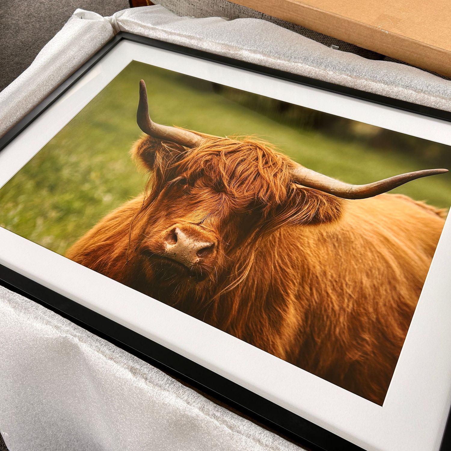 highland-cow-fine-art-print-black-frame-whisky-creek-rural-photography.jpg