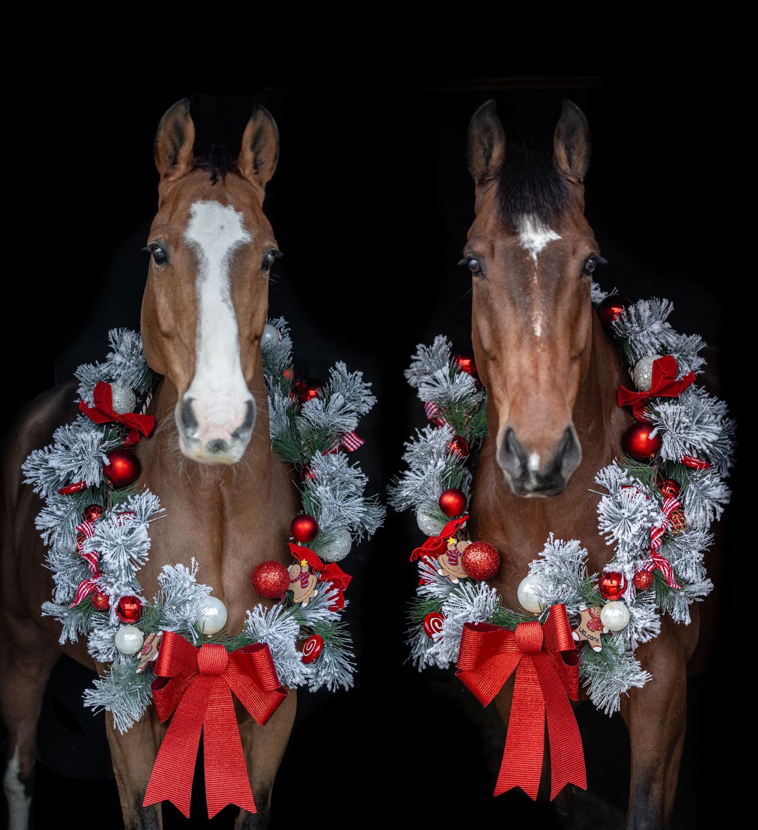 A series of horses wearing festive Christmas wreaths with red bows and silver tinsel decorations against a black background.