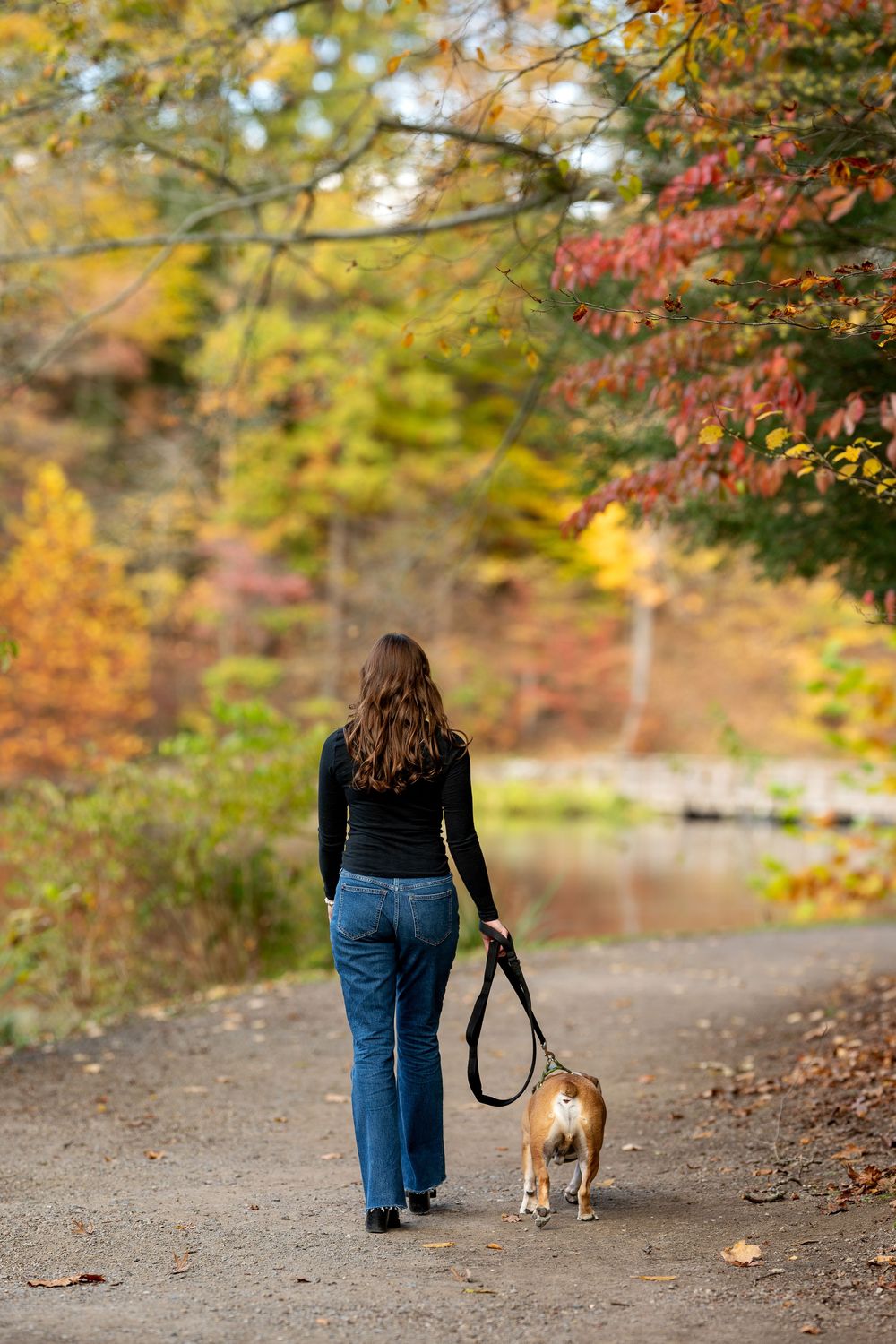 Woman in black top and jeans walking her English Bulldog on a leash along a scenic autumn park path near a pond.