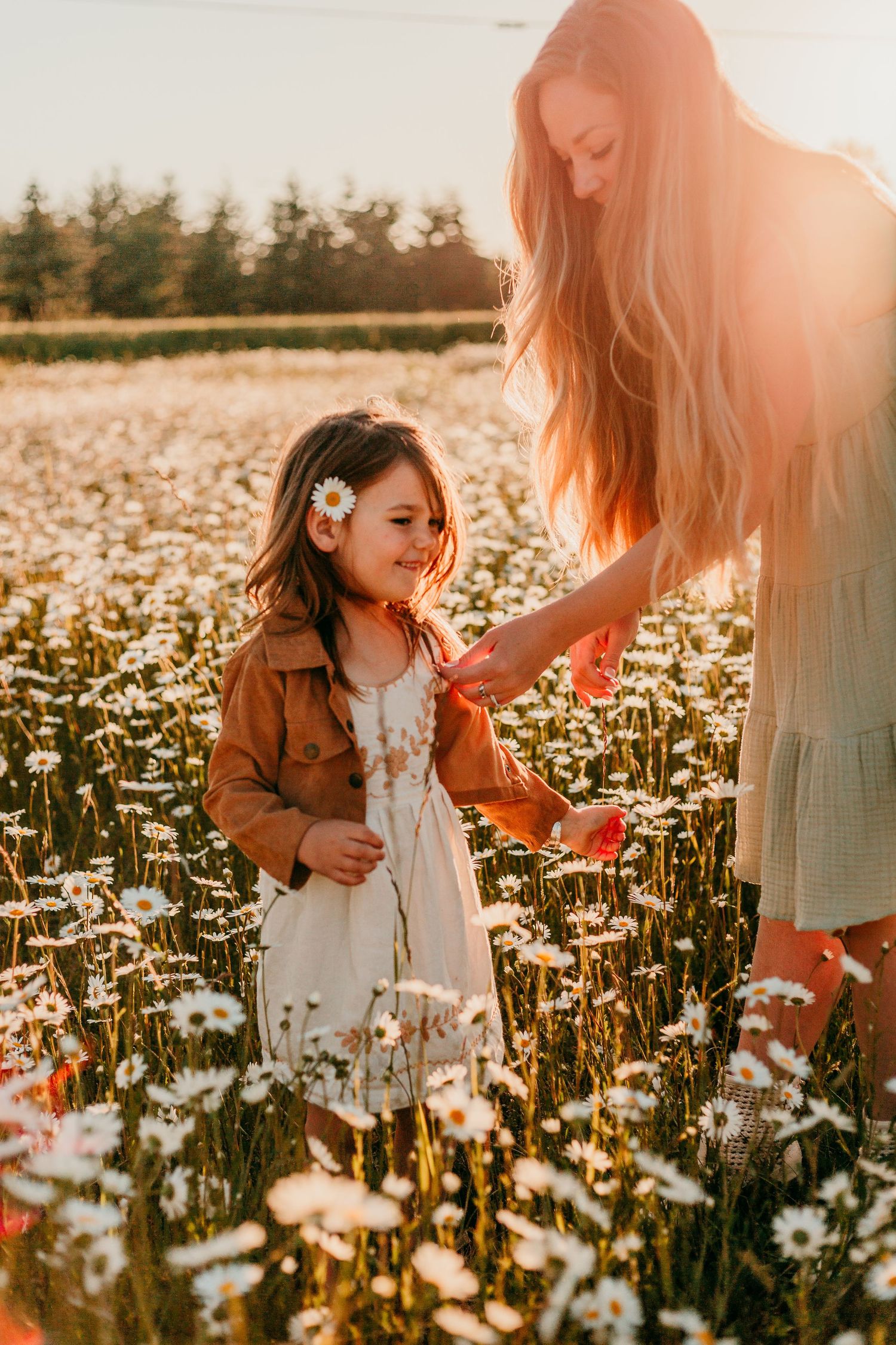 Daisy Wildflower field photography session in Washington Spring family photographer