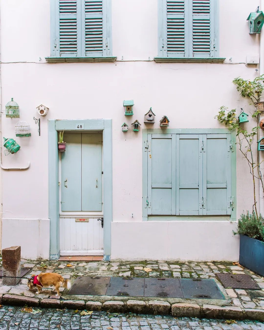 Charming white house with pastel shutters and potted plants beside a cobbled street.