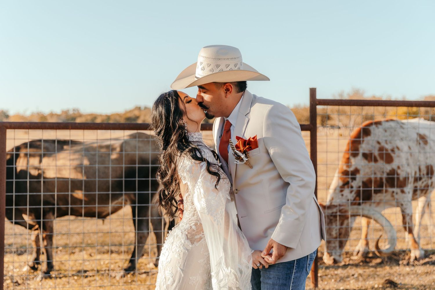 Couple sharing a kiss in cowboy hats at a rustic ranch wedding with longhorn cattle in the background.