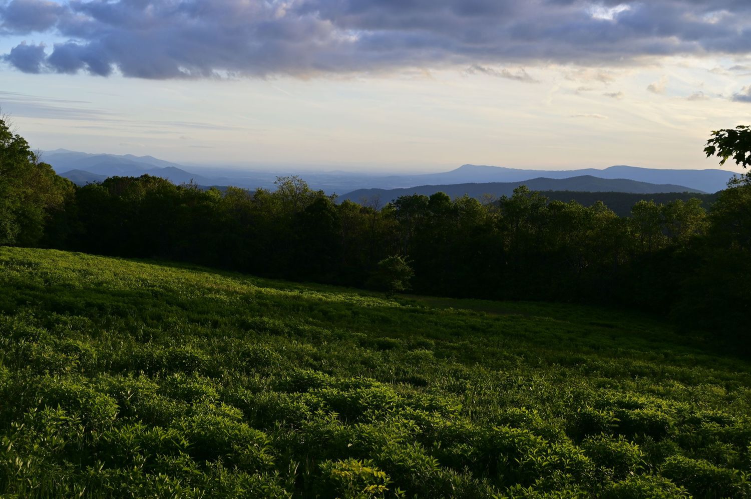 View to distant mountains in the Shenandoah National Park