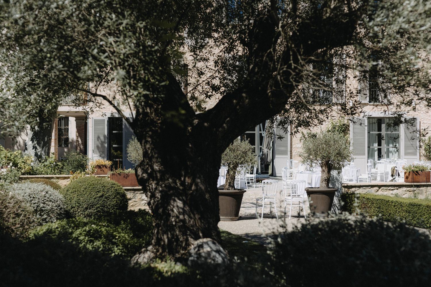 A scenic outdoor wedding ceremony setup with white chairs arranged in rows beneath towering trees.