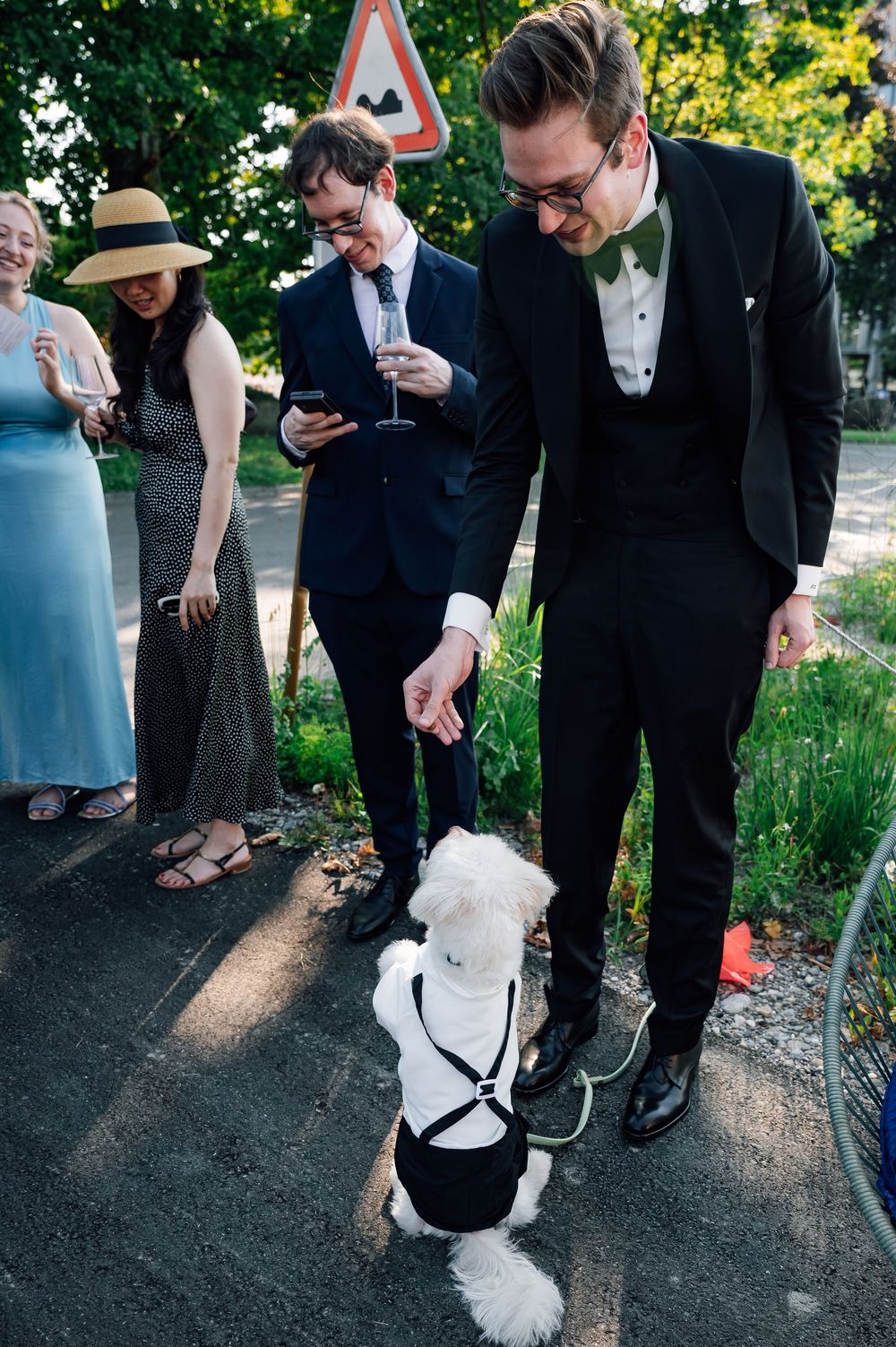 Small white dog being pet while wearing formal attire at outdoor event.