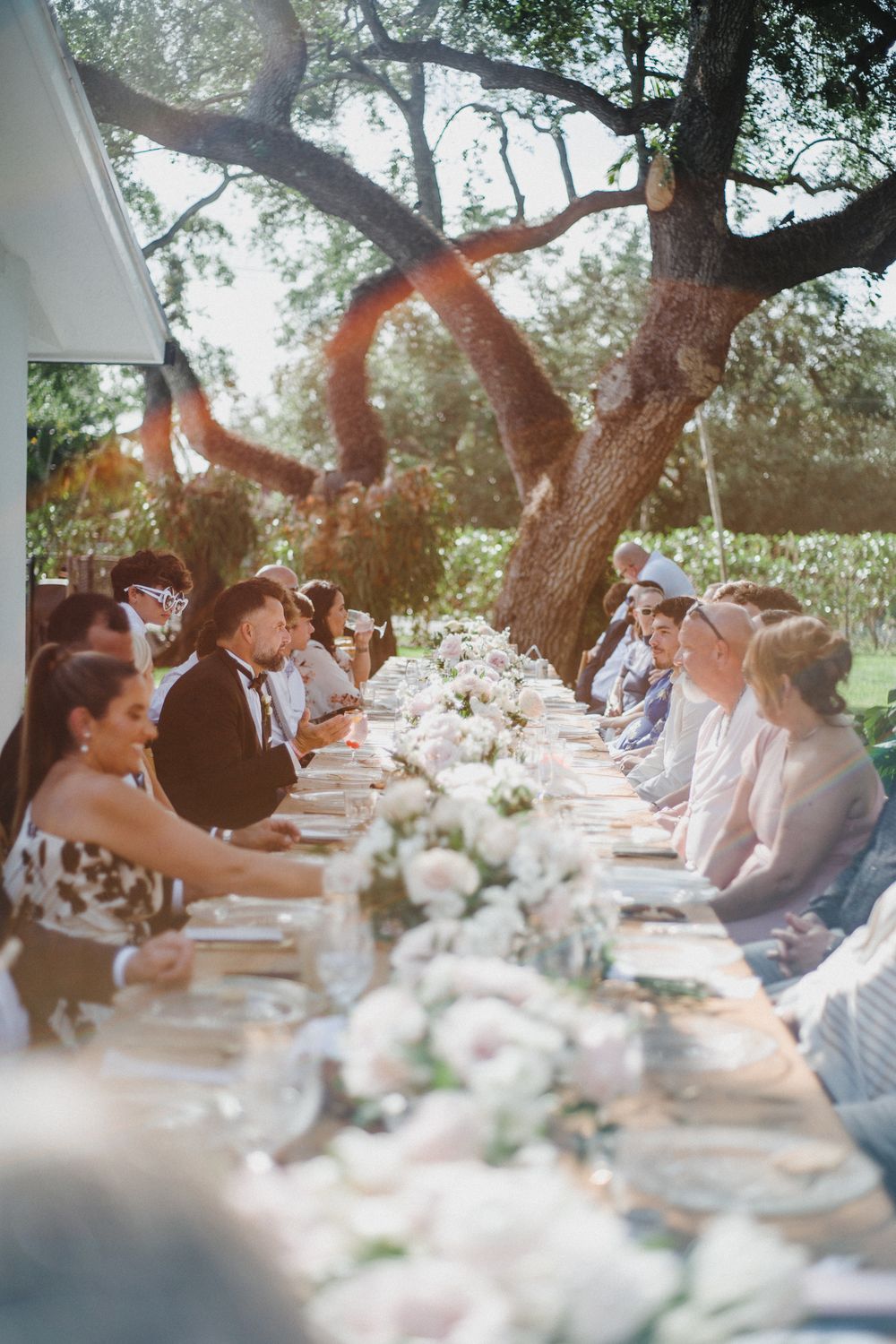 Elegant outdoor wedding reception table set beneath large oak trees with white floral centerpieces and natural sunlight.