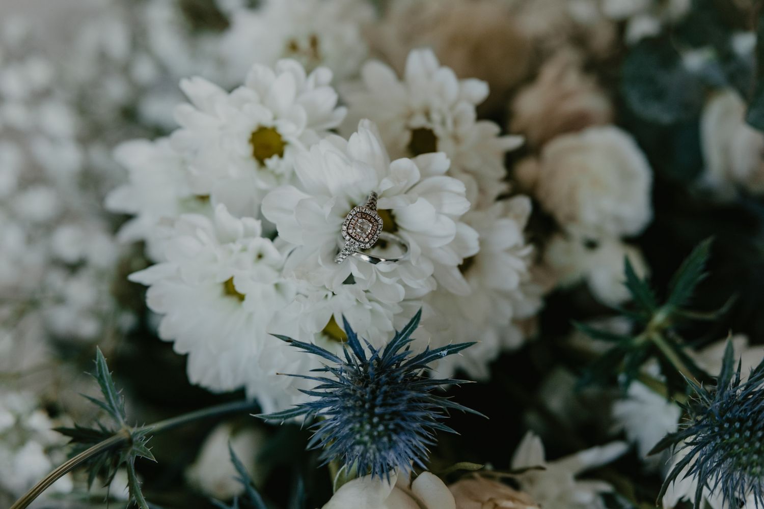 Fuey Photography — photo 11 of 18
