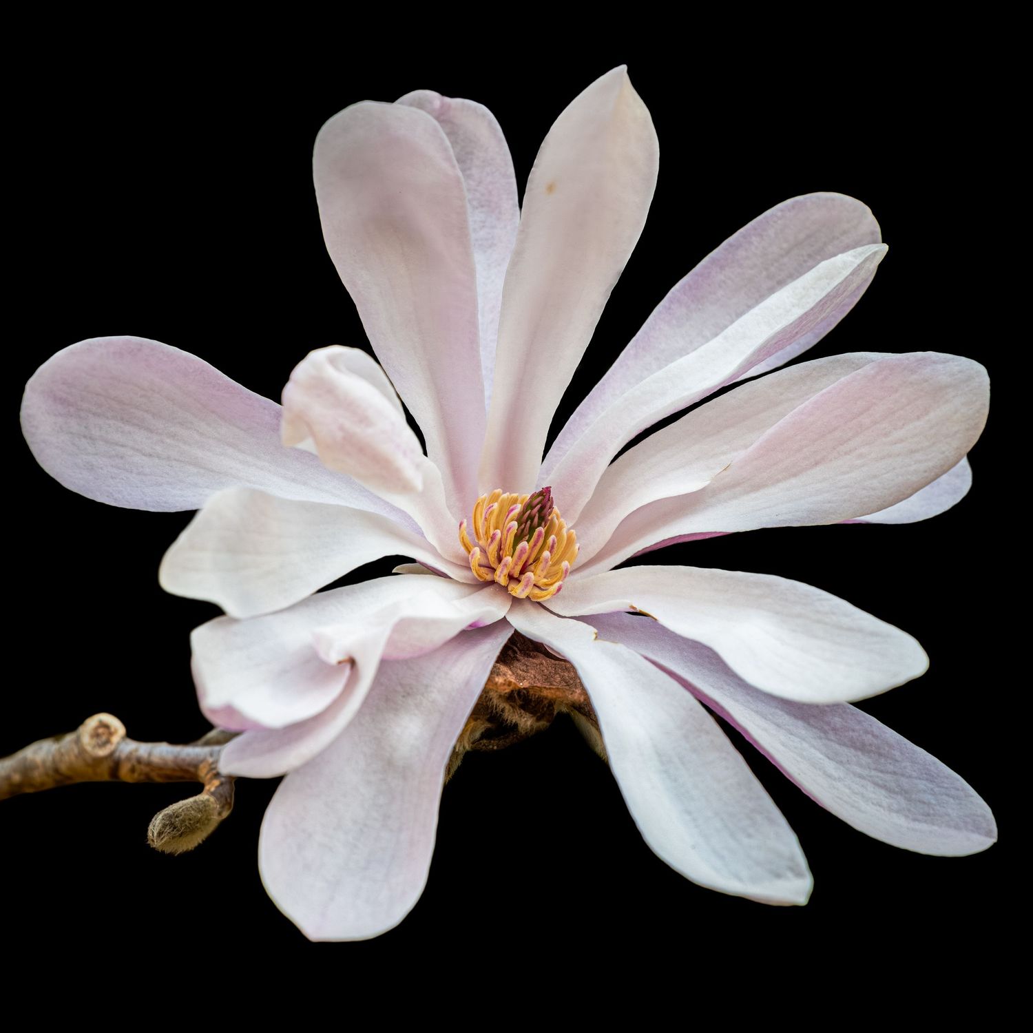 John Peters Photography