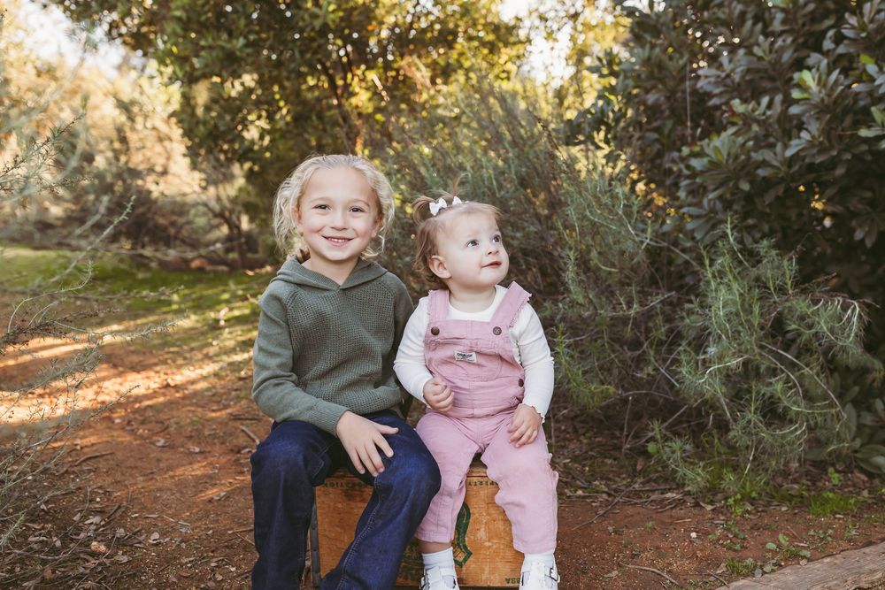 A family sits together outdoors during a golden hour photoshoot in a wooded setting.