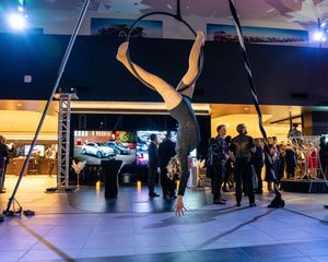Aerial performer in black costume demonstrates graceful pose on suspended equipment at indoor venue.