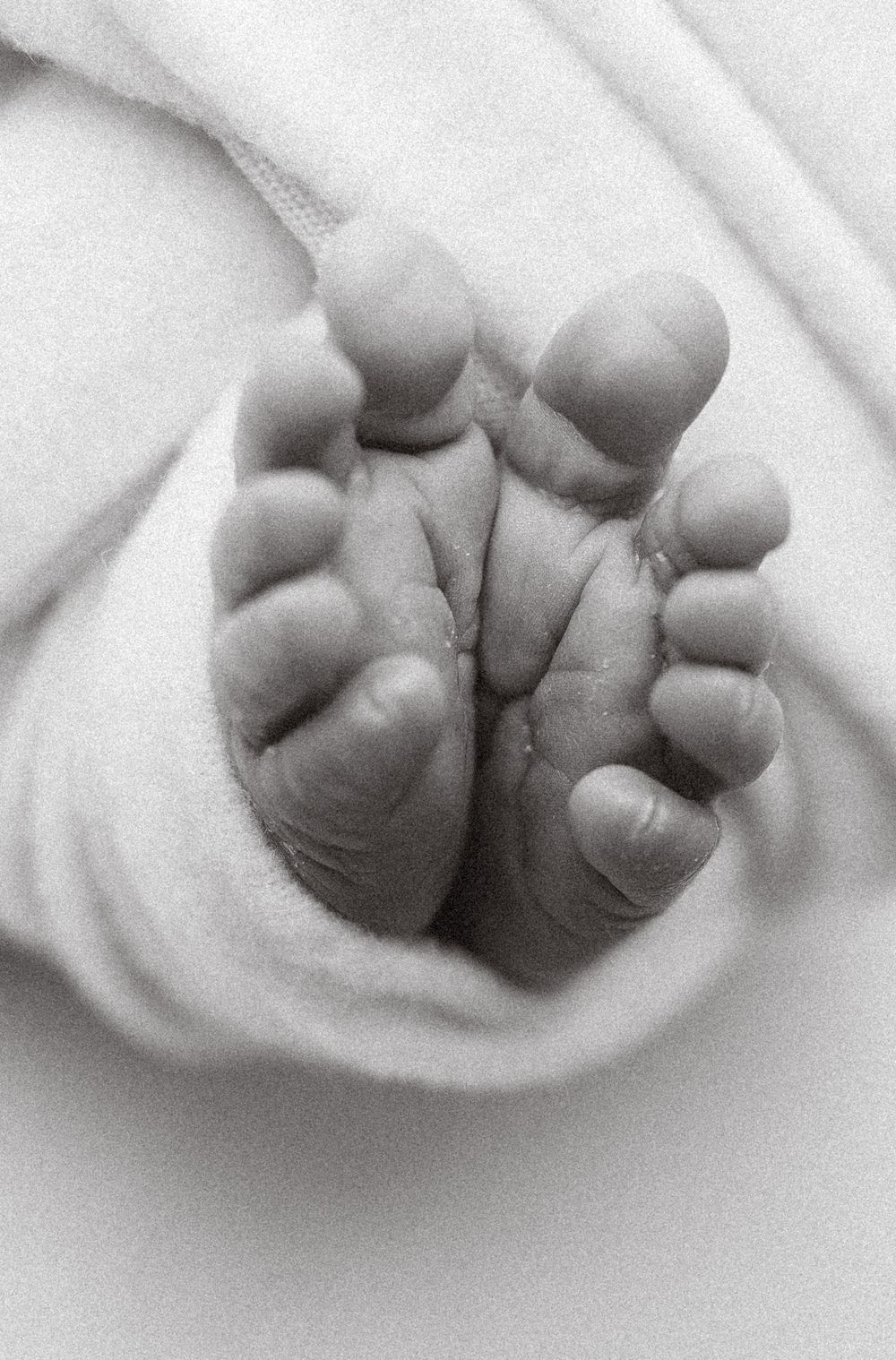 A black and white close-up photograph shows tiny baby toes curled up against soft white fabric.