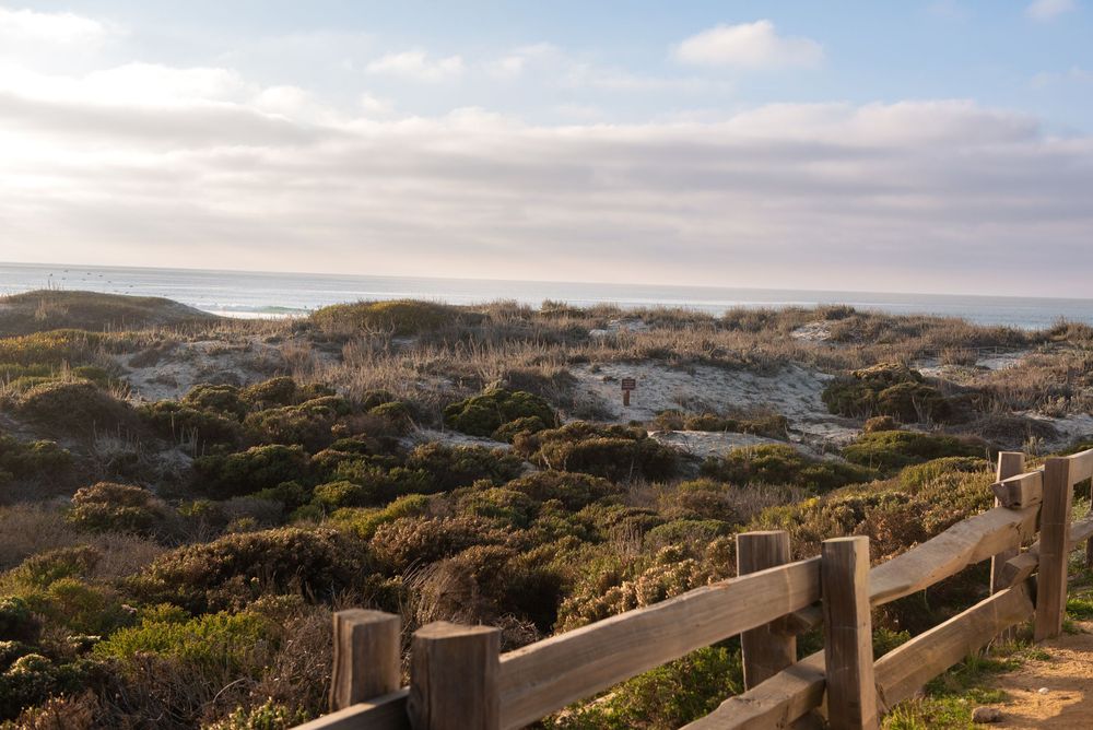 Wooden fence along coastal path overlooking sand dunes and ocean under cloudy skies at sunset.