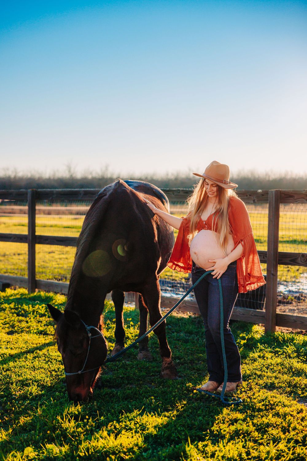 A person tends to a black horse in a sunlit pasture filled with yellow wildflowers during golden hour.