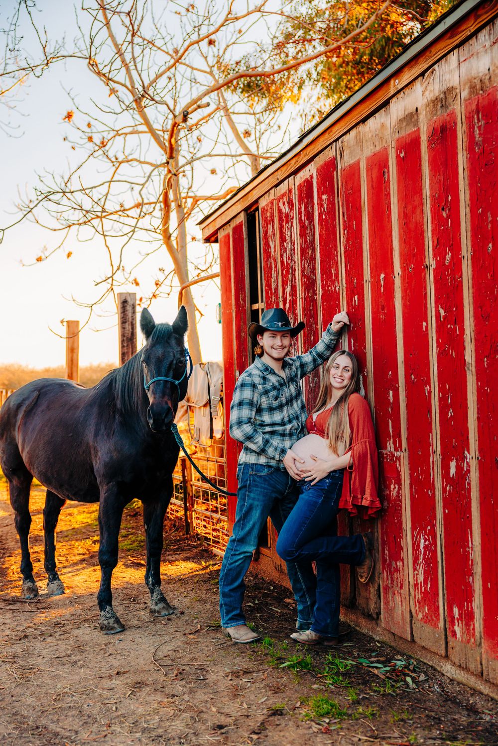A series of photos showing horses next to a rustic red barn during golden hour sunset.
