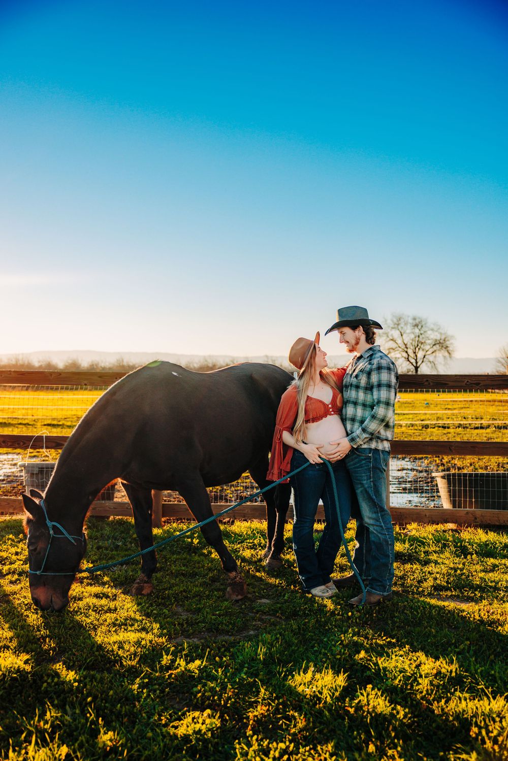 A couple and their black horse stand together in a golden field at sunset with a bright blue sky overhead.