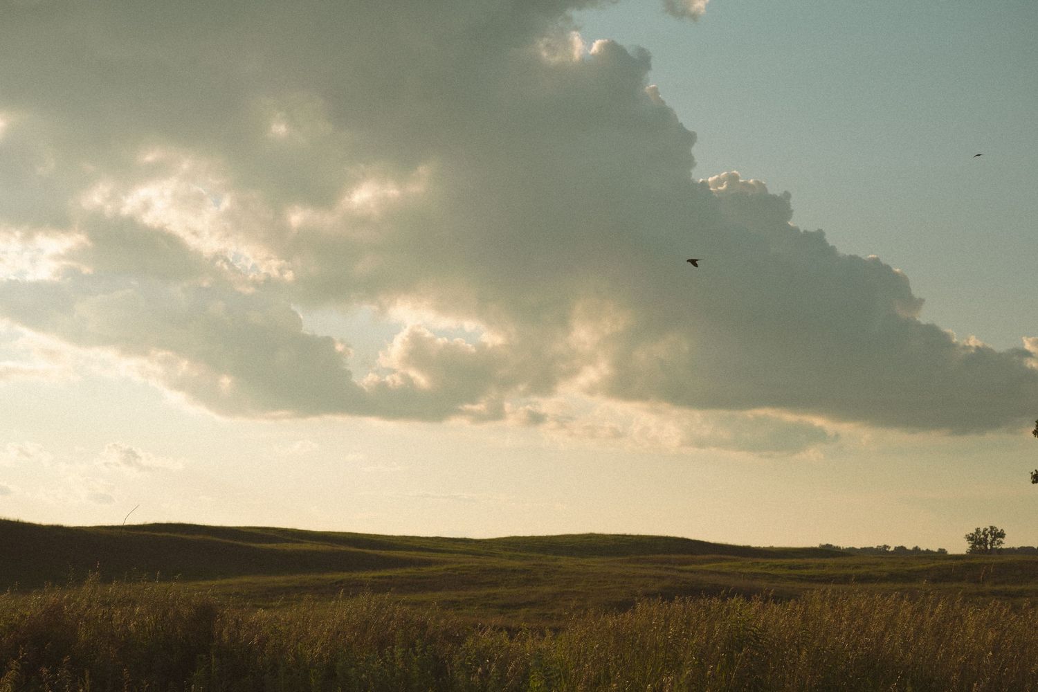 A panoramic view of rolling hills and dramatic clouds at sunset creates a serene rural landscape.