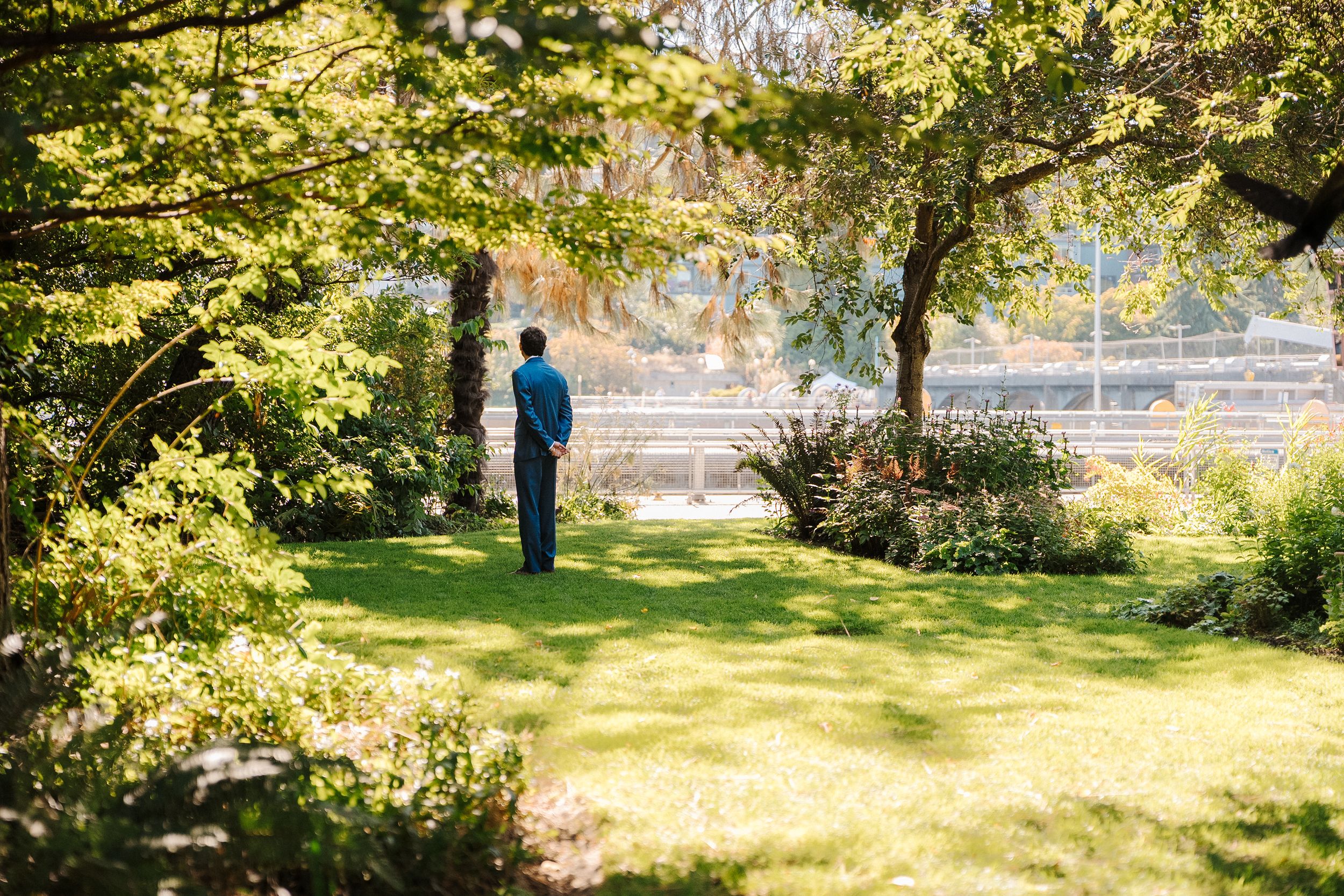 Sunlit autumn park pathway with golden leaves and dappled shadows creating a tranquil outdoor scene.