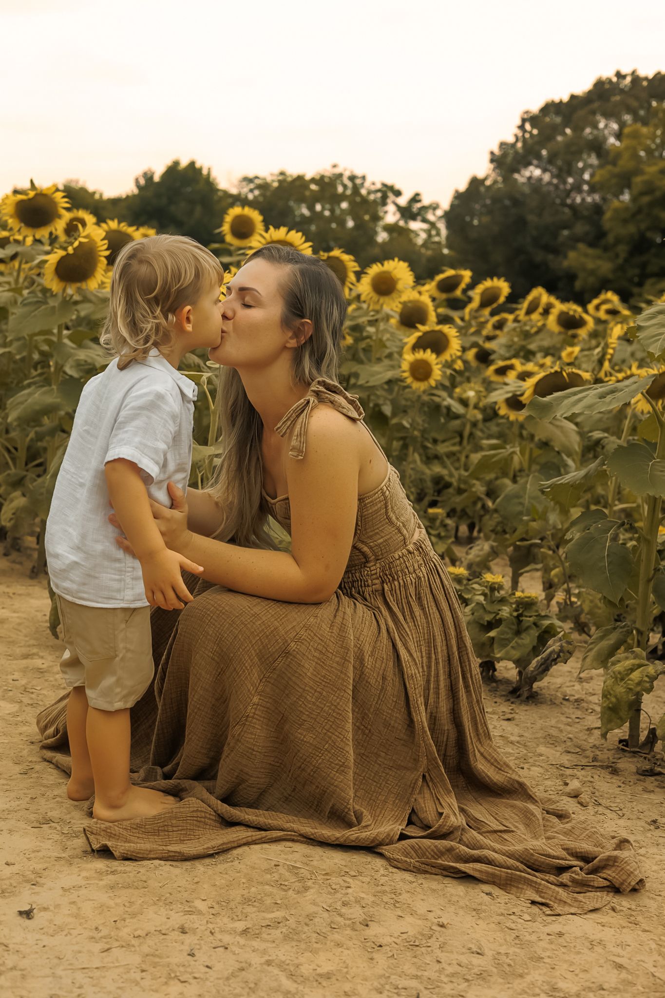 A tender moment shared between two people in a beautiful sunflower field during golden hour.