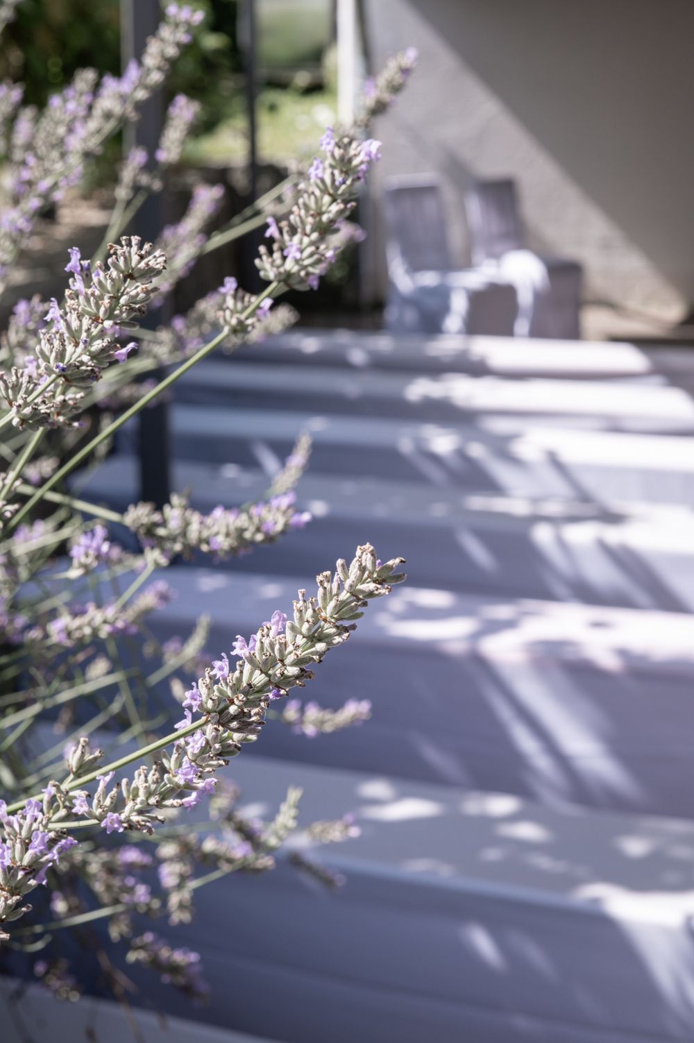 Zarte lila Lavendelblüten wiegen sich an einem sonnigen Tag vor verschwommenen Terrassenmöbeln mit weichen Schatten.