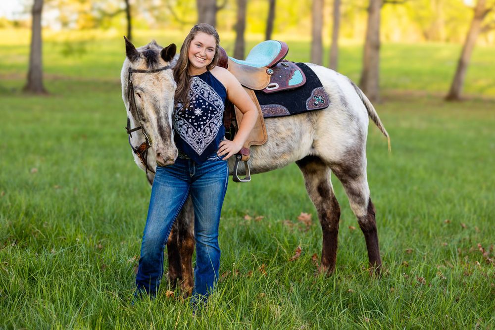 Paint horse with distinctive markings stands in grassy field during golden hour.
