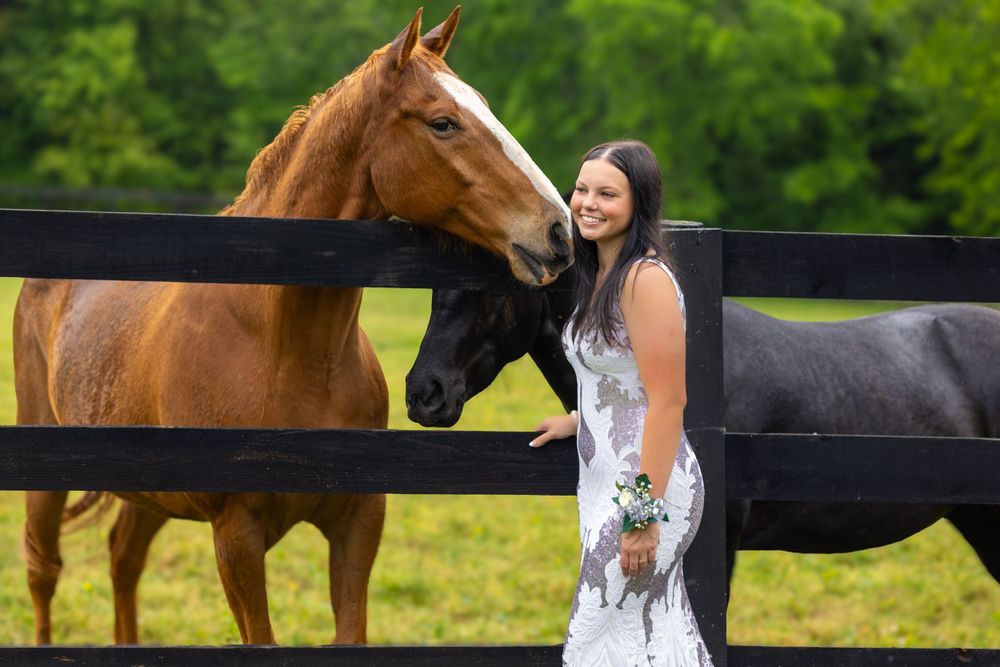 Woman in white dress interacts with two horses at black fence in green pasture.