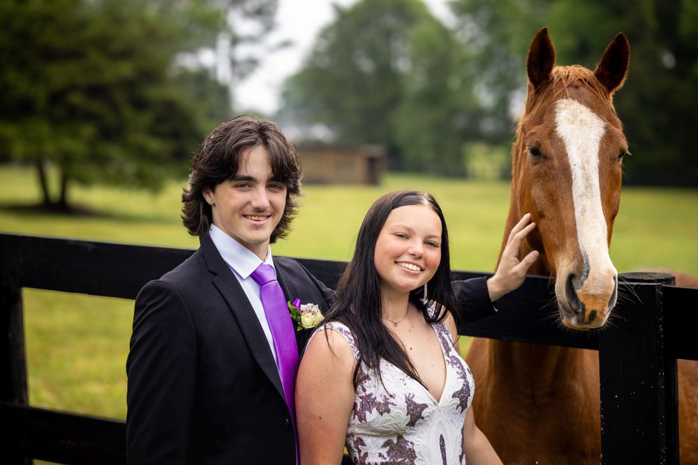 Couple in formal wear poses with brown horse at wooden fence.