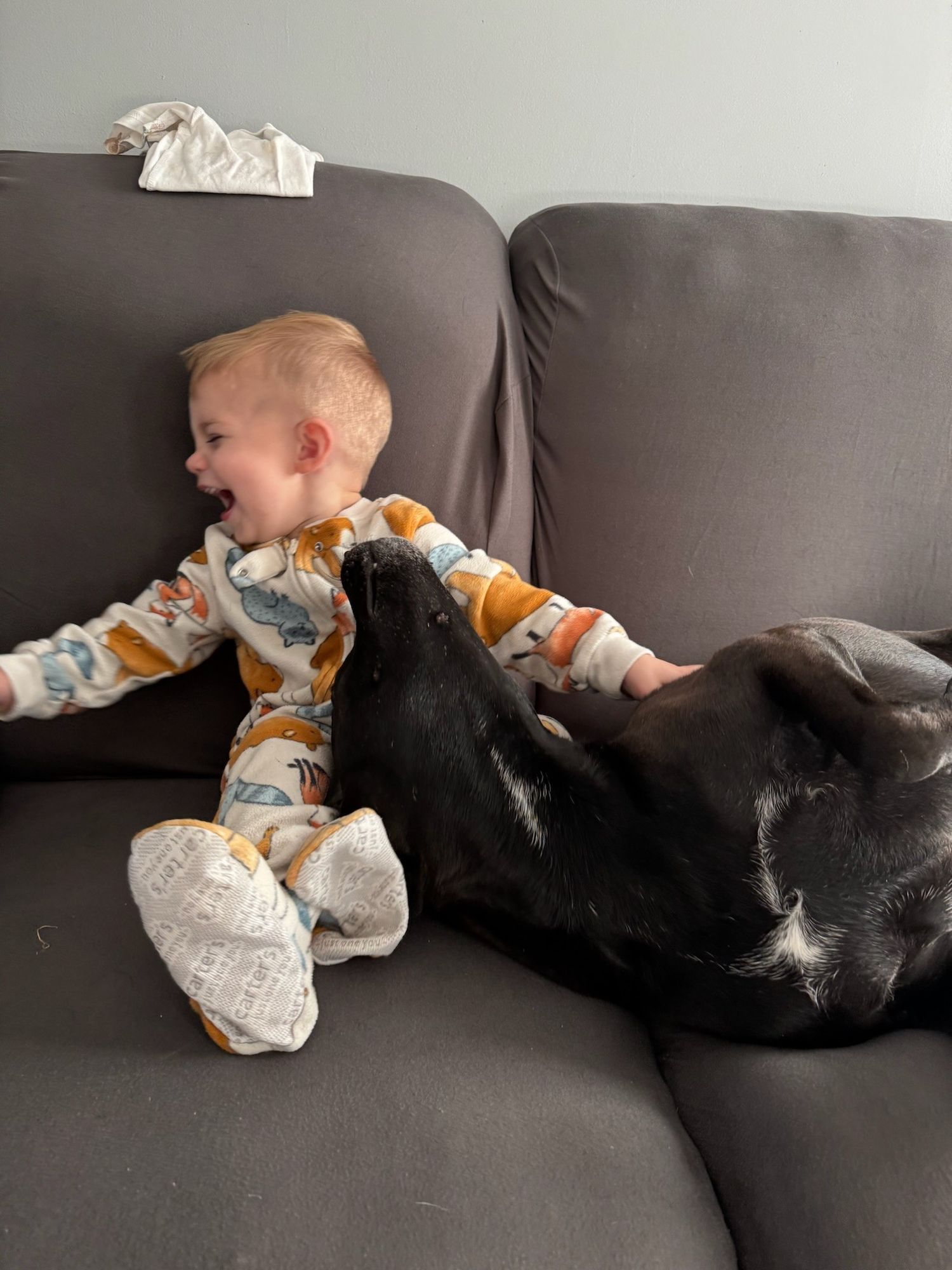 Springfield, IL photographer captures family sessions and shares insight to her life.