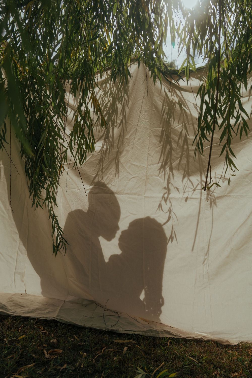 Silhouettes cast dramatic shadows against a white backdrop under hanging willow branches.