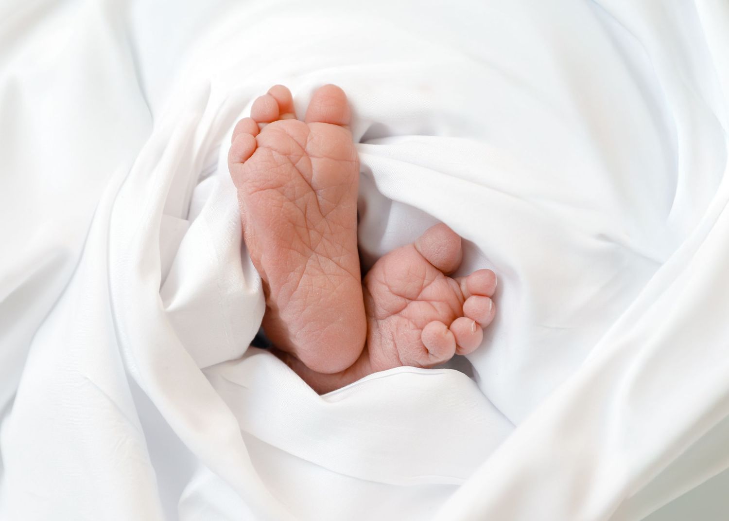 Tiny newborn baby feet wrapped in soft white blanket showing tender toes and delicate skin.