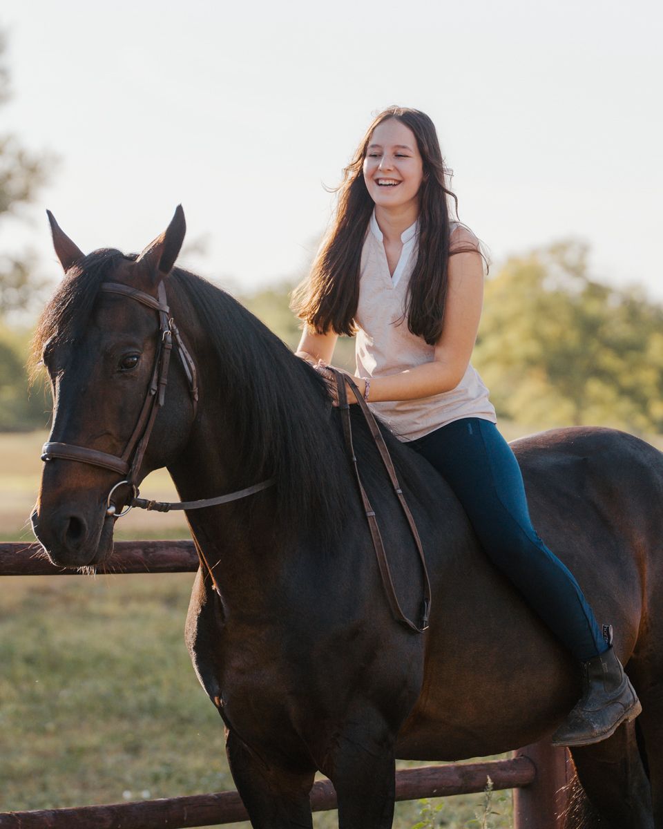 A person rides a dark horse in a field during golden hour, captured in a series of candid moments.