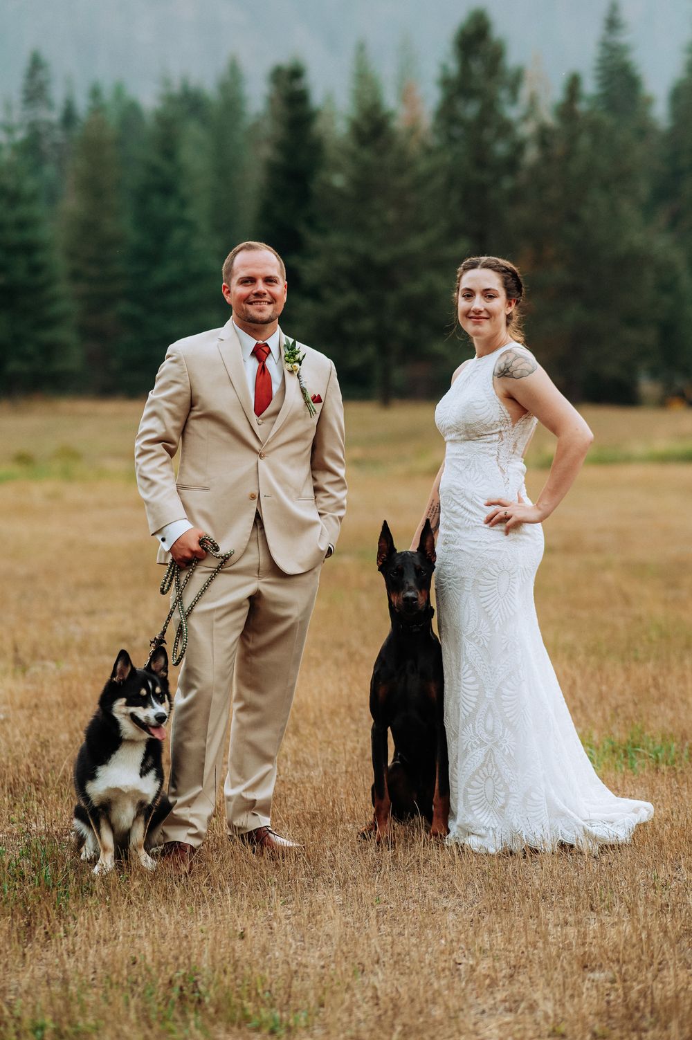 A couple in wedding attire poses in a field with their German Shepherd and black dogs for outdoor portraits.
