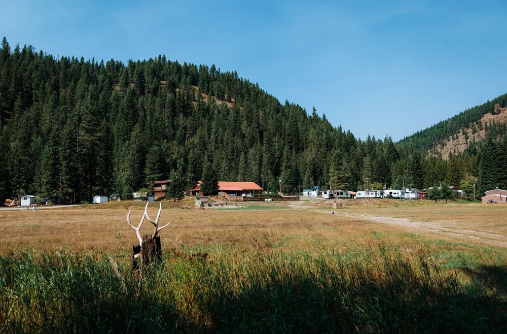 A scenic mountain panorama shows a grassy meadow with evergreen forests and distant peaks in the background.